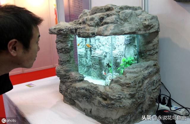 居家風水學 魚缸擺在哪裏最招福
