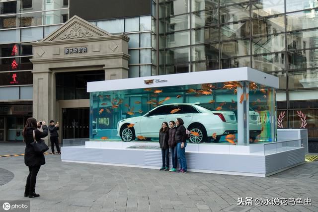 居家風水學 魚缸擺在哪裏最招福