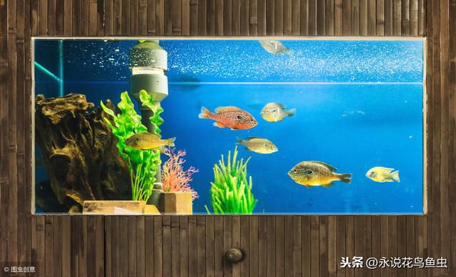 居家風水學 魚缸擺在哪裏最招福