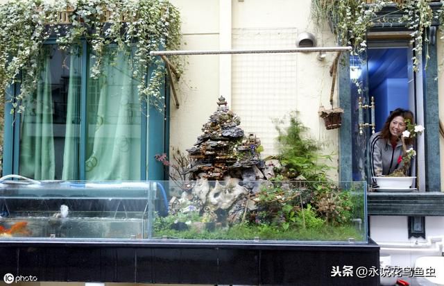 居家風水學 魚缸擺在哪裏最招福
