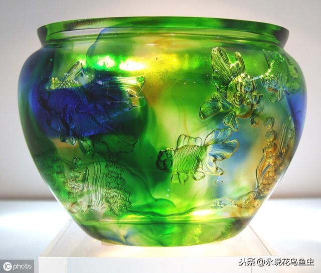 居家風水學 魚缸擺在哪裏最招福